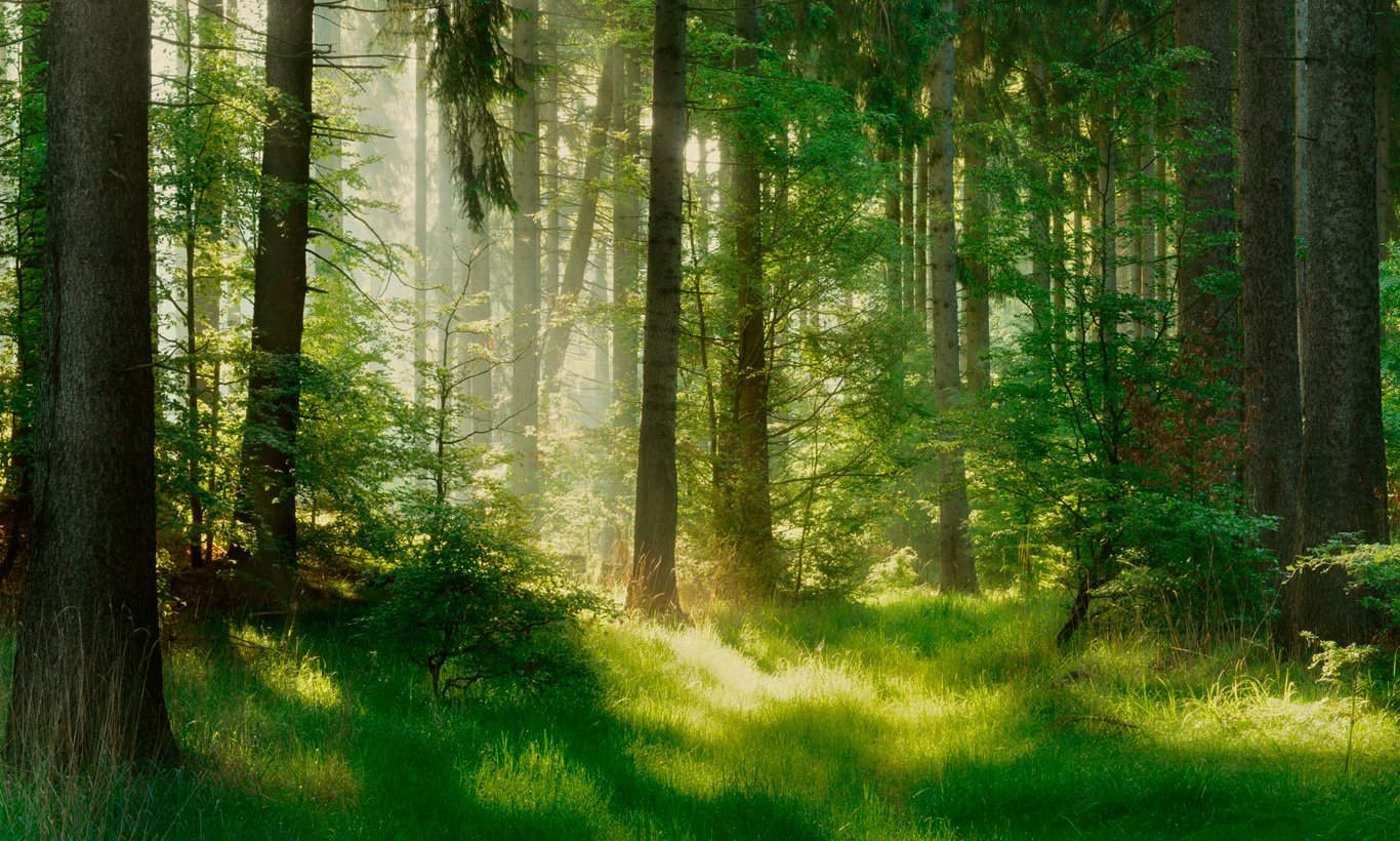 Skånska Stearinljusfabriken